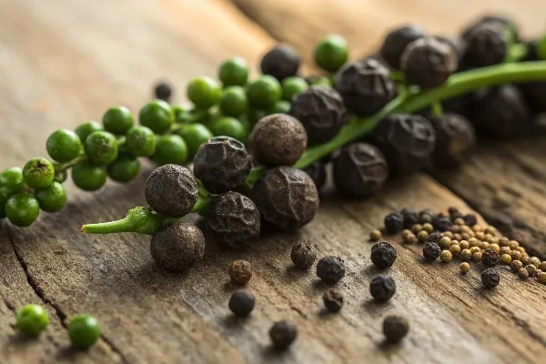 Fresh peppercorns